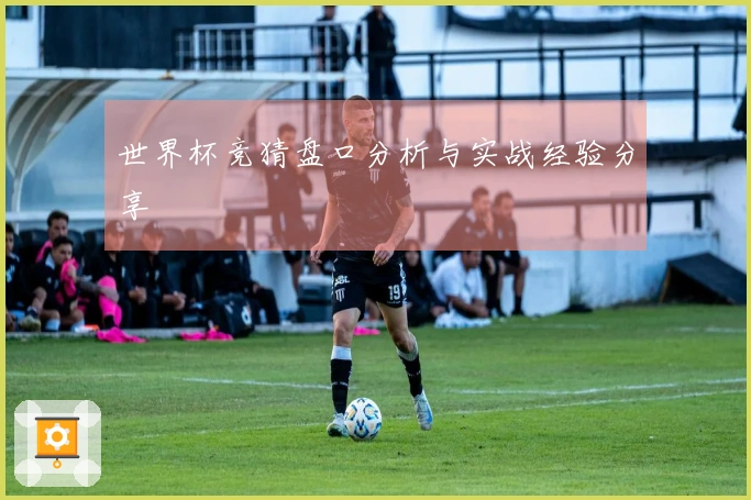 世界杯竞猜盘口分析与实战经验分享
