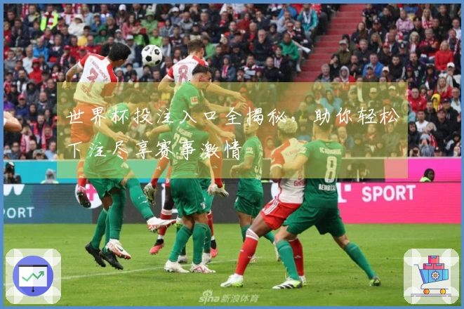 世界杯投注入口全揭秘，助你轻松下注尽享赛事激情