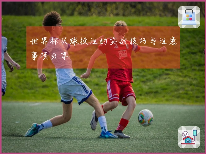 世界杯买球投注的实战技巧与注意事项分享