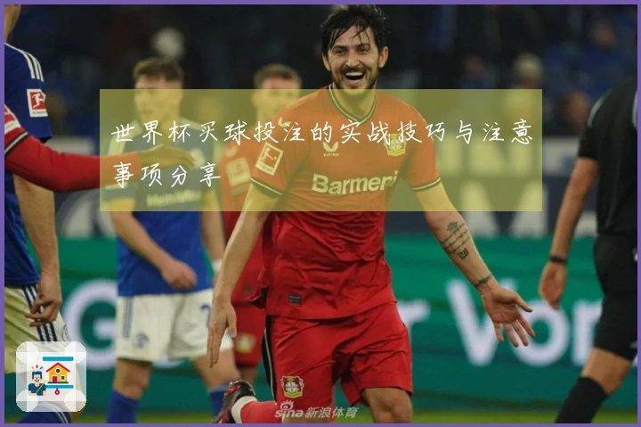 世界杯买球投注的实战技巧与注意事项分享